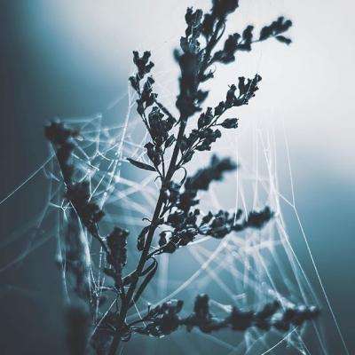 牛牛游戏网app下载